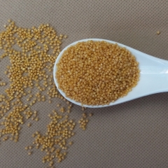 优质黄小米 散装农家小米
